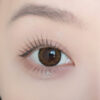 DELUXE Aster Brown
