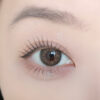 DELUXE Fusion Brown